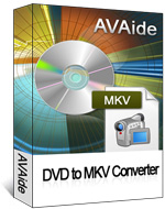 convert mkv to dvd free
