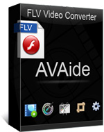 FLV Converter