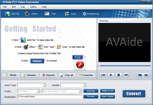 FLV Converter