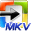 AVAide MKV Converter