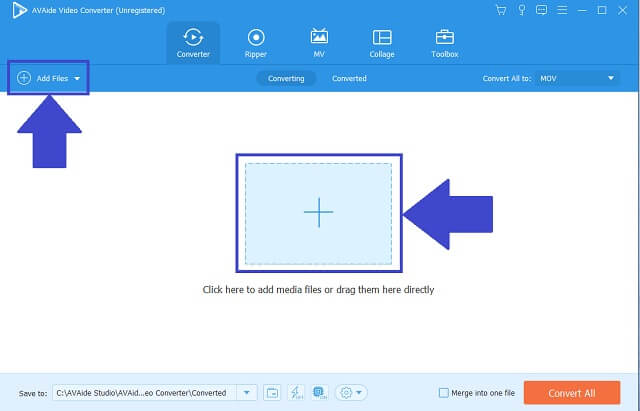 MPEG FLV AVAide Importera filer