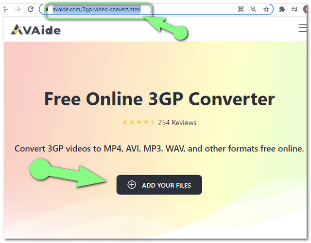 WebM 3GP Online File