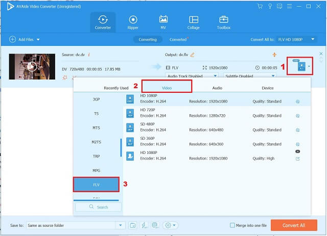 AVAide DV To FLV Modify The Settings