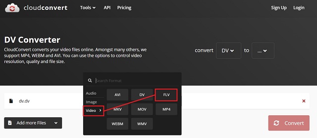 CloudConvert DV To FLV Choose A Format