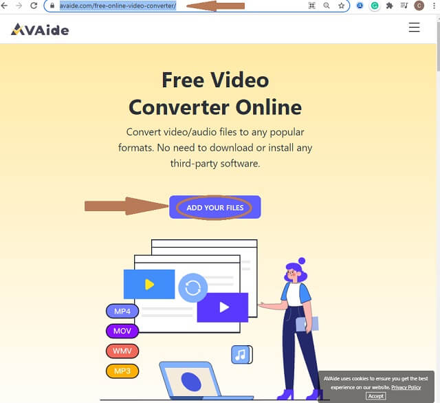 RMVB AVI Online File