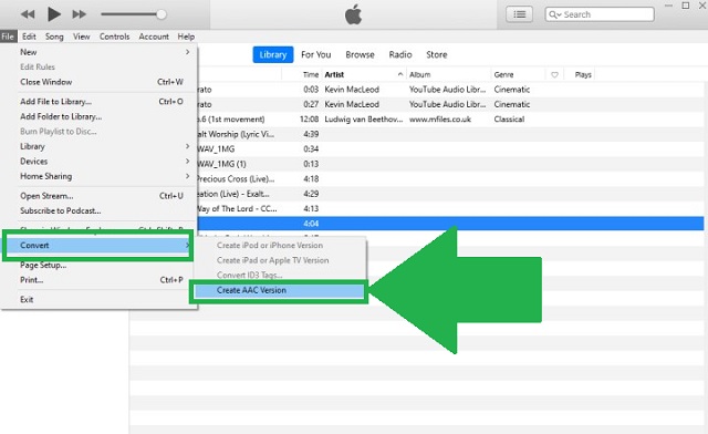 WAV M4A iTunes Go Format