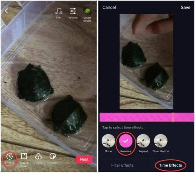 Tiktok 反向转换播放视频