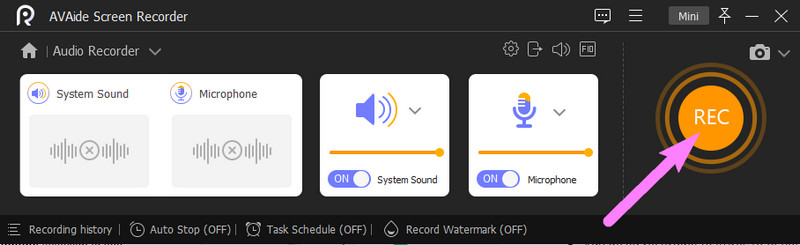 Audio Recorder Rec