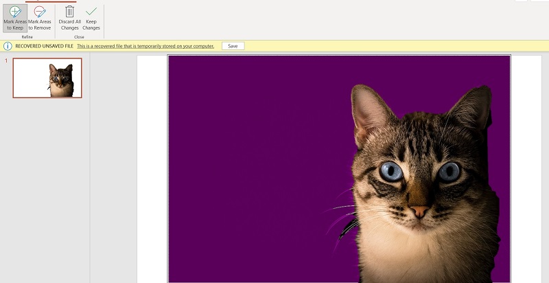 Cat PPT Background