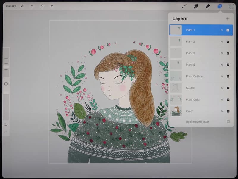 Instruction on Making Transparent Backgrounds in Procreate