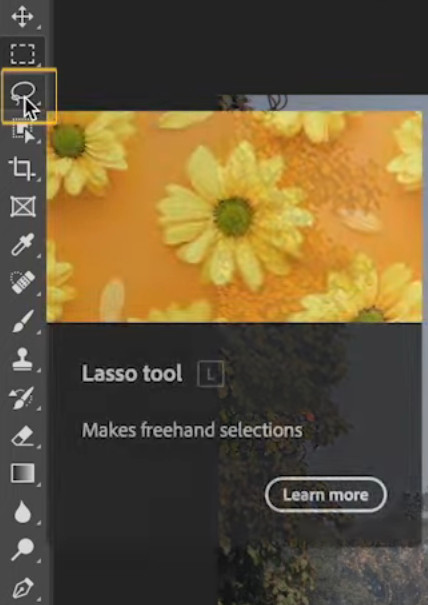 Lasso Tool