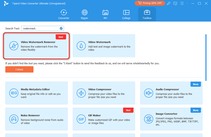 Access Video Watermark Remover