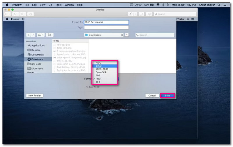 Conversia capturii de ecran în Jpg folosind Previzualizare pe Mac