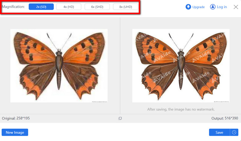 Magnification Adjustments