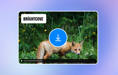 Brightcove 비디오 다운로드