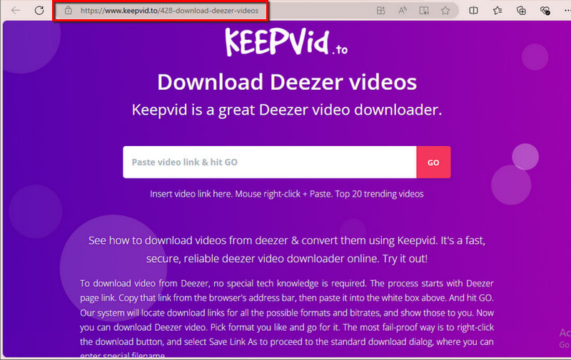 Besøk Deezer Downloader-nettstedet