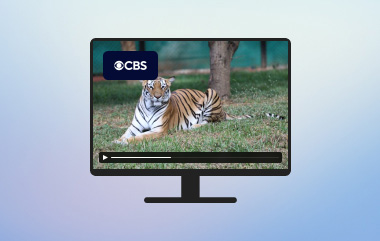 Watch Cbs Online S