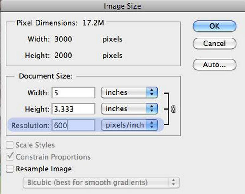 Document Resolution Size