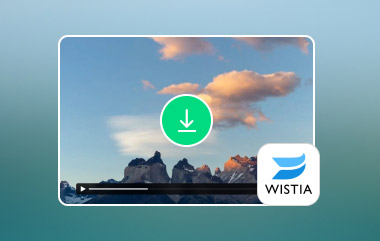 Descargar video de Wistia