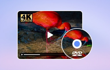 4k DVD-spiller