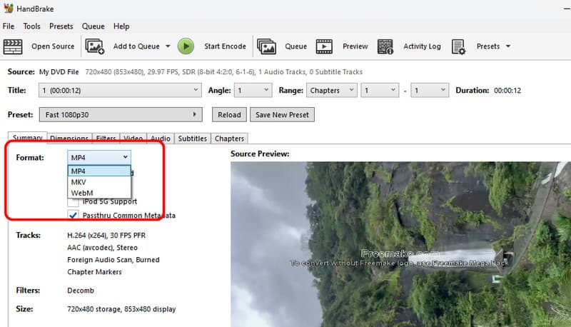 Format Option Handbrake