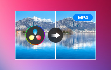 How to Export Davinci Resolve As Mp4