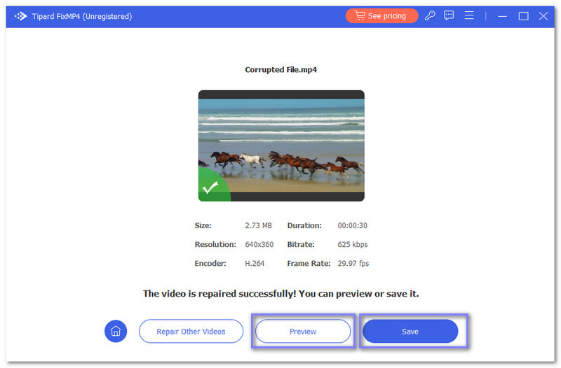 Preview And Save Your Repaired Video
