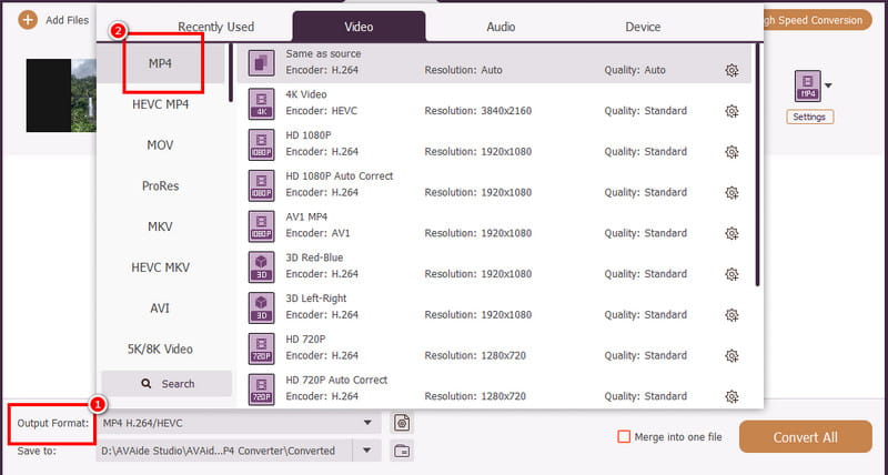 Formato di output Mp4 Avaide