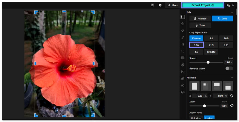 Ridimensiona video per Instagram online