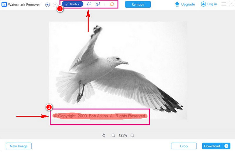 Evidenzia Copyright Avaide