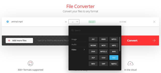 Choose the FLV Format to Convert