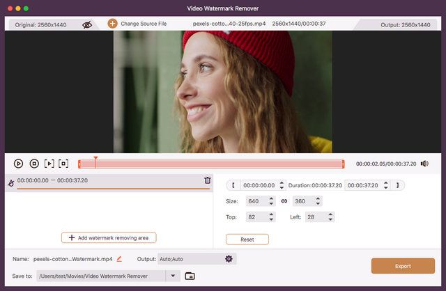 Video-Wasserzeichen-Entferner